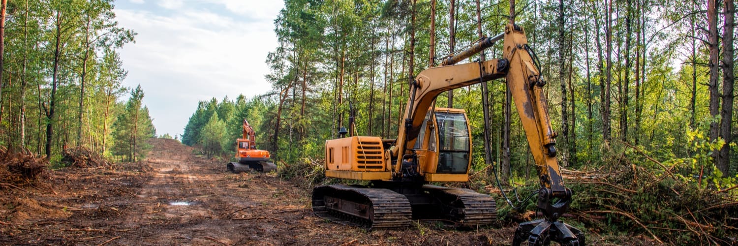 Land Clearing Le Roy IL